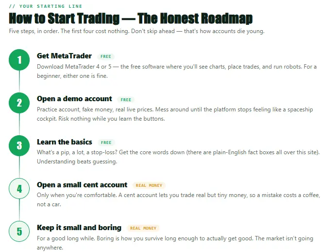 How to start trading forex — a 5-step roadmap from free MetaTrader and demo account to a small cent account with real money